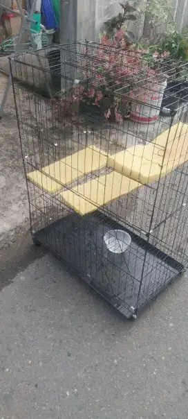 Di jual kandang kucing