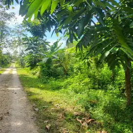 Jual tanah dekat RSUD Konawe & Universitas lakidende
