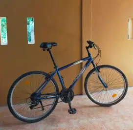 Sepeda Polygon MTB