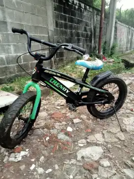 Sepeda ukuran 16