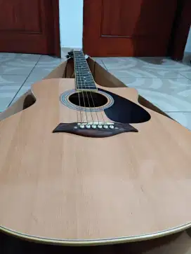 Gitar Lesley original full set