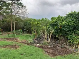 Lahan Komersil Freehold Ubung Kaja, Bali. Cocok Bisnis Kargo/Industri