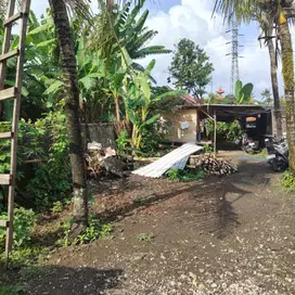 Land for Sale Leasehold - 2 Are Strategic Nyanyi, Tabanan, Bali