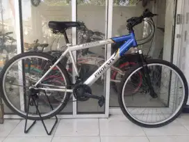 Sepeda gunung MTB Phoenix