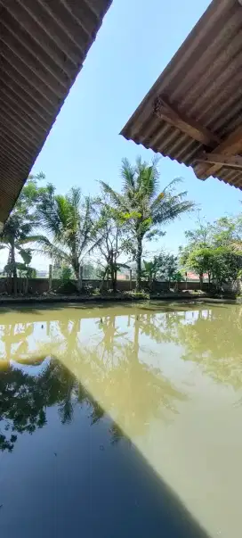 Murah Tanah Di Ciparay Dekat RS Muhammadiyah Cocok Untuk Perumahan