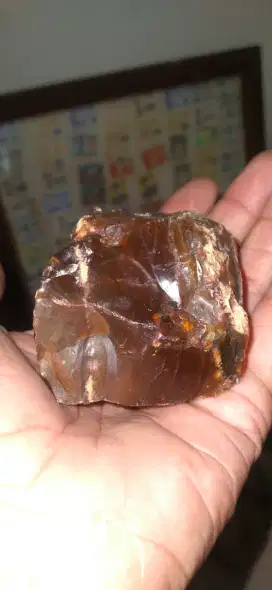 Batu akik. Katilayu suda membatu.