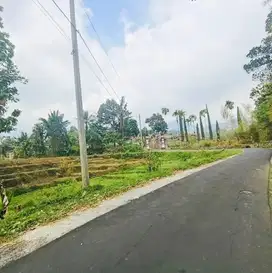 Tanah karang pandan 15000Mt, Ld 150Mt, Amanah OutBond, Karang pandan