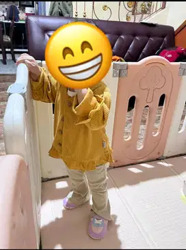 Pagar Bayi, Baby Play Fence