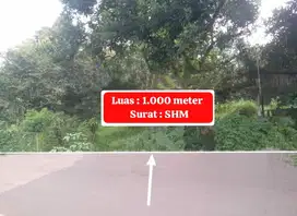 TANAH MURAH DI PINGGIR JALAN UTAMA STRATEGIS DI DESA TEGAL BOGOR