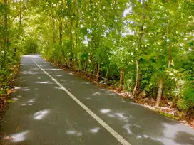 Jual Tanah Kavling Luas 200m²/2are Lokasi Jl Melasti dekat pantai