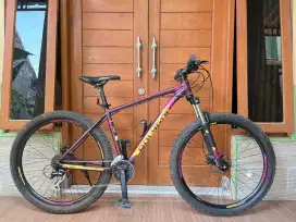 Polygon premier 4 th 2021-2022 mulus kaya baru