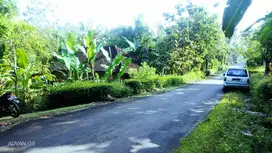 Pekarangan murah 558m² Muka 20m  Jalan 5m+, 5 menit pasar jatisrono