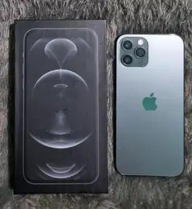 Iphone 12 Pro 128GB Murah Siap Pakai (Lokasi Cicaheum) Dibaca