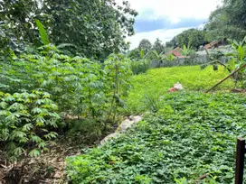 Lahan Cocok Untuk Cluster Di Kp Kaum Pandek Karadenan Cibinong