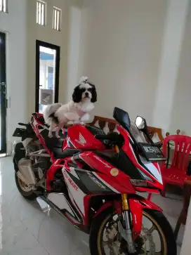 Motor kesayangan