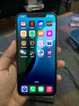 Xs Max 256Gb inter whitelist