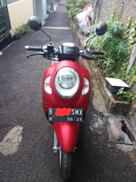 Honda Scoopy 2021 Gress