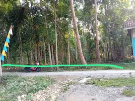 Jual kilat Tanah 5 menit dari kota wates akses mobil lancar.