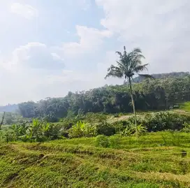 Tanah karangpandan 2300Mt, Ld 20Mt,dekat Amanah OutBond, karang anyar