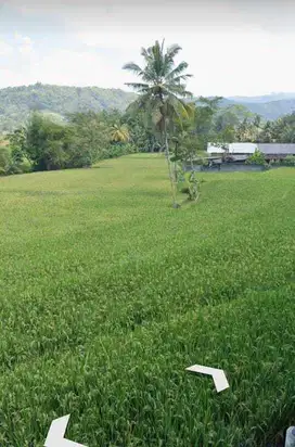 Tanah view persawahan menoreh pas tuk villa dan hunian