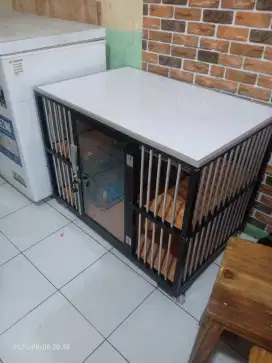 Kandang kucing masih baru