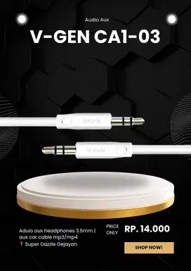 V-GEN CA1-03 Audio Aux
