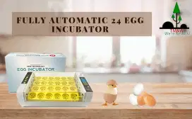 Mesin penetas Telur / Egg incubator