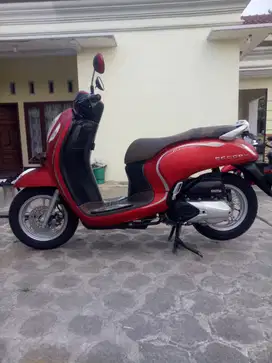 Scoopy 2022 stylish