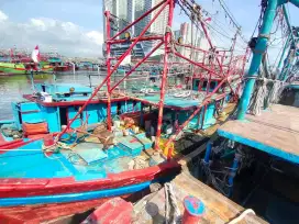 Butuh yang serius kerja buat abk kapal cumi butuh 4 orang lagi