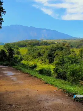 Jual Tanah SHM Murah di Ciawi Puncak Bogor