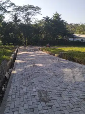Tanah datar pinggir jalan di ampel gading timur UNNES gunungpati