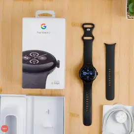 Google Pixel Watch 2 Black case, Obsidian active band