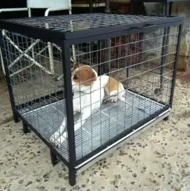 Kandang anjing / kandang kucing