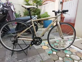 Roadbike Flatbar Dominate