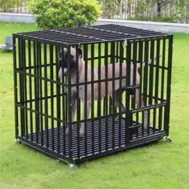Kandang anjing / kandang kucing