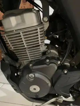 Crf 150 L ( 2023 )