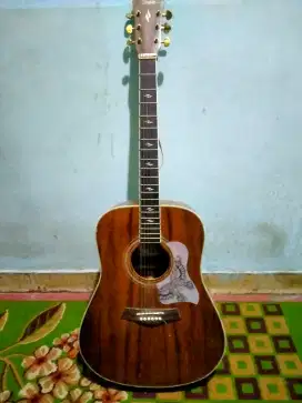 gitar costum taylor
