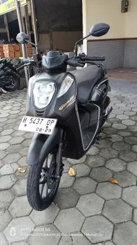 Honda Genio 2019