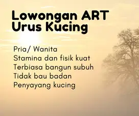 DICARI ART PRIA UNTUK URUS KUCING & BEBERSIH