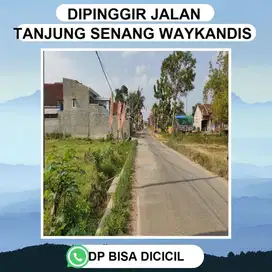 KAVLING TANJUNG SENANG BANDAR LAMPUNG DEKAT DENGAN PASAR WAY KANDIS