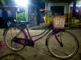Sepeda Phoenix 26 Inch Dewasa