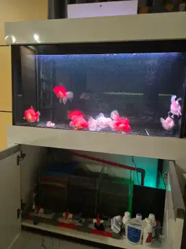 Aquarium kabinet sump filter
