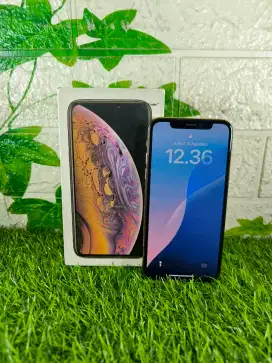 iPhone Xs 256Gb Minus Face iD