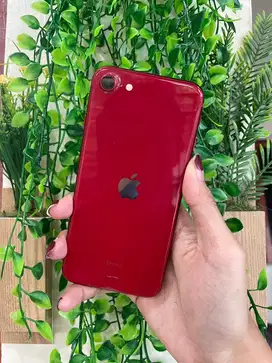 Iphone SE Gen 3 128GB IBOX