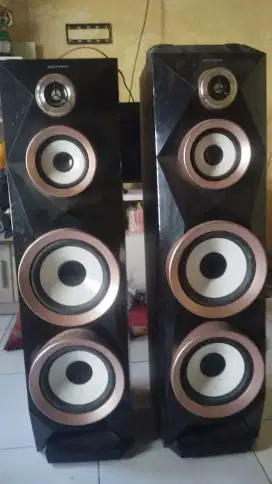 Speaker polytron