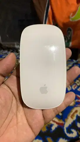 Mouse Apple Magic 2