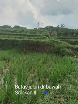 DIJUAL LAHAN LUAS DAN STRATEGIS UNTUK USAHA WISATA PERKEBUNAN DAN PERT