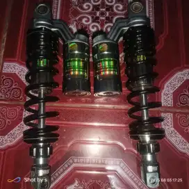 Shock DBS 8894 gp series