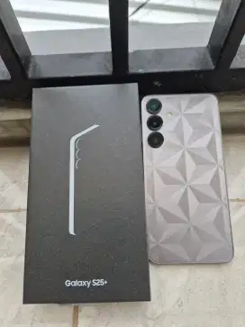 S25 Plus 12/512GB Sein