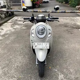 Scoopy Prestige 2024